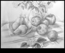 Compoziție în tăcere stăpânind desenul de viață